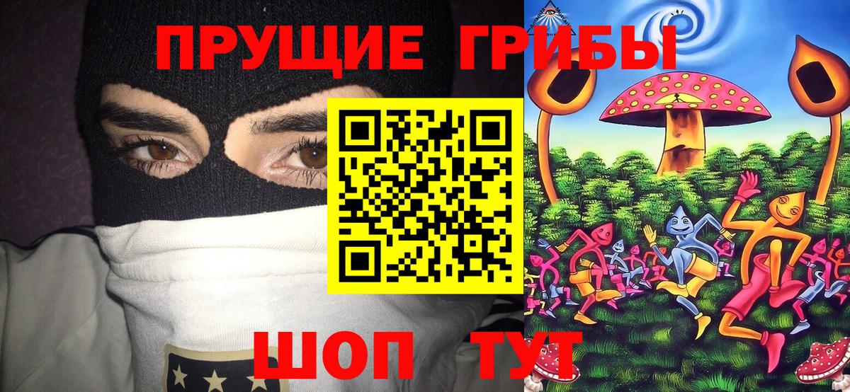 Нижневартовск  Псилоцибиновые грибы GOLDEN TEACHER  наркошоп  Вход с VPN 